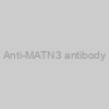 Anti-MATN3 antibody